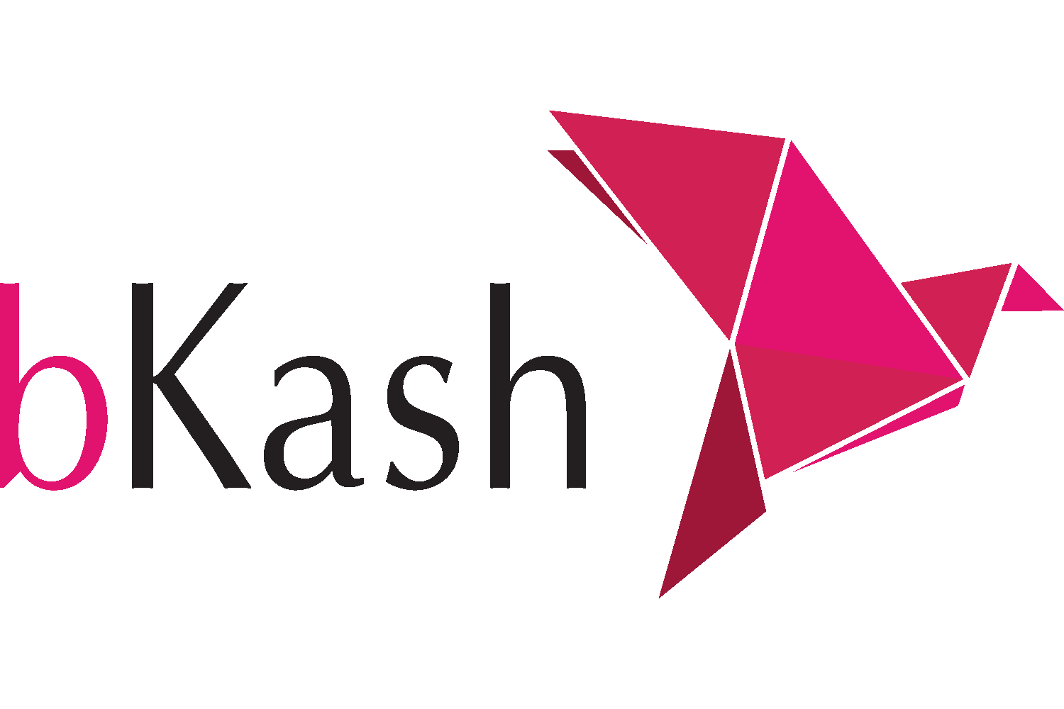 bKash Logo